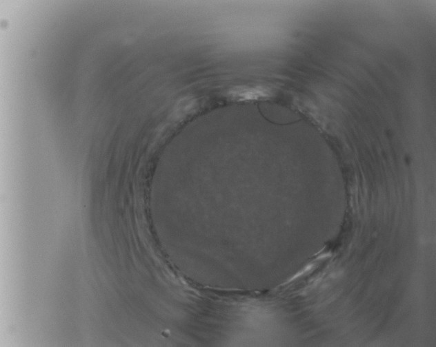 X0000062831393200601271939