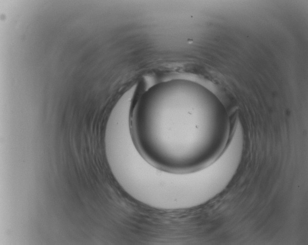 X0000062831394200601271939