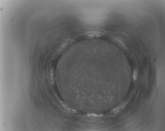 X0000062831396200601271939