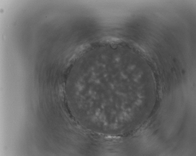 X0000062831397200601271939