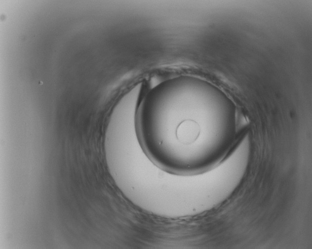 X0000062831398200601271939