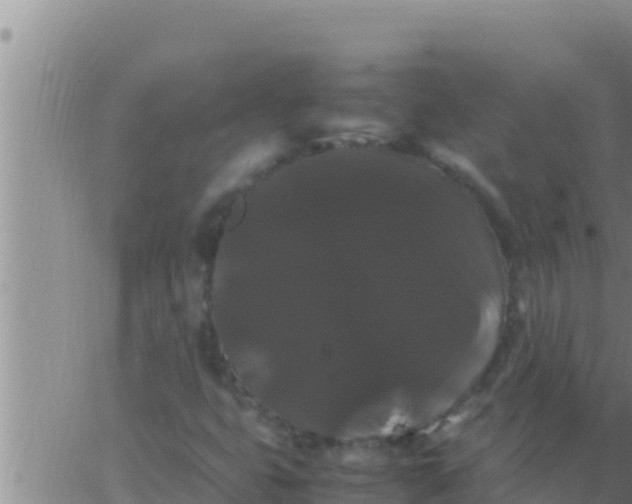 X0000062831399200601271939