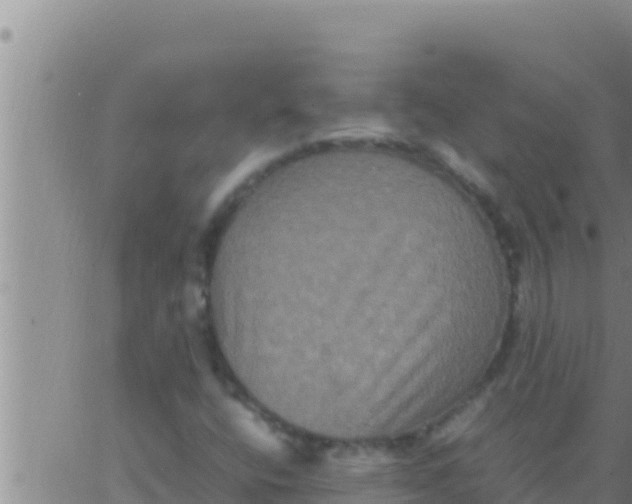 X0000062831400200601271939