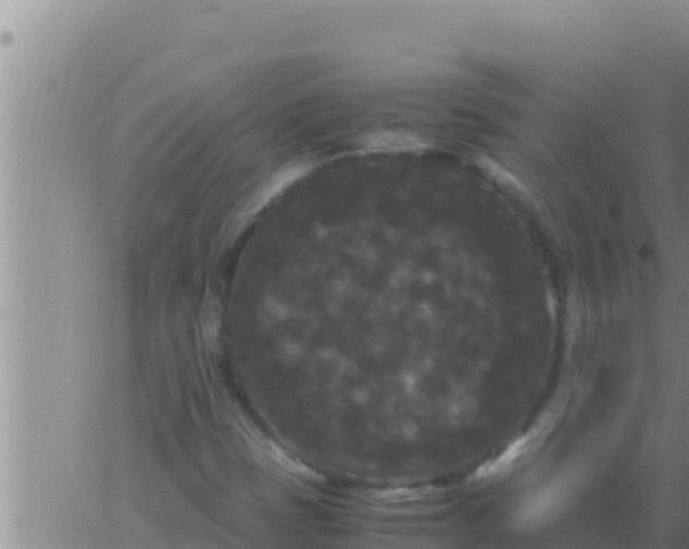 X0000062831401200601271939