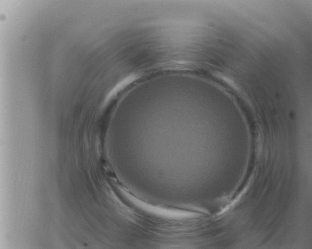 X0000062831402200601271939