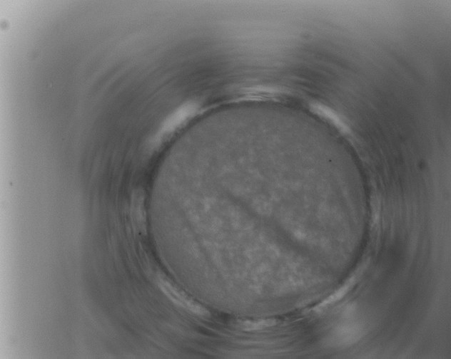 X0000062831403200601271939