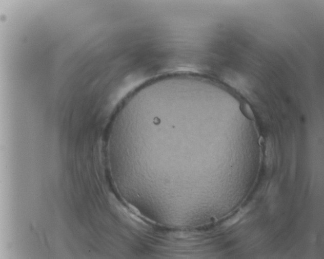 X0000062831404200601271939