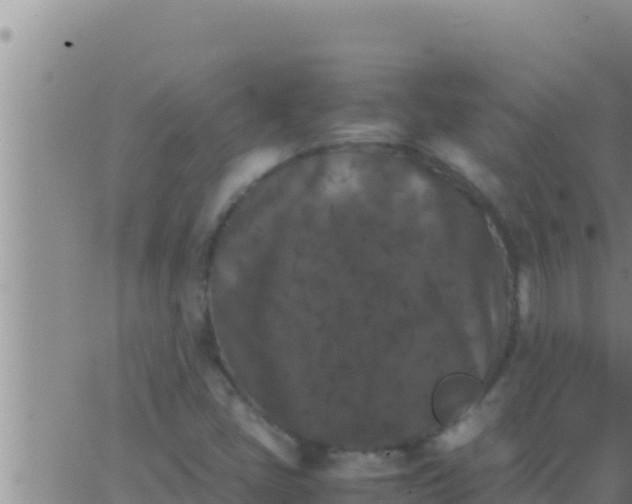 X0000062831405200601271939