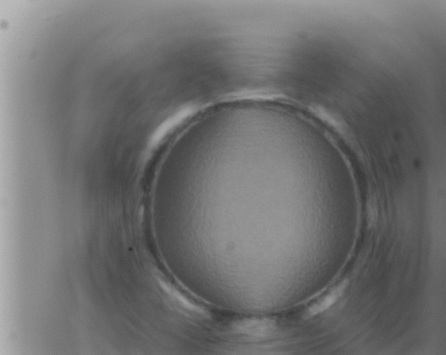 X0000062831406200601271939