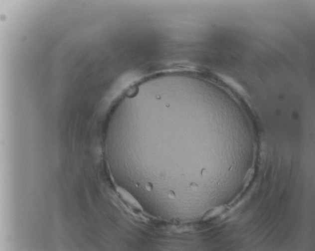 X0000062831407200601271939