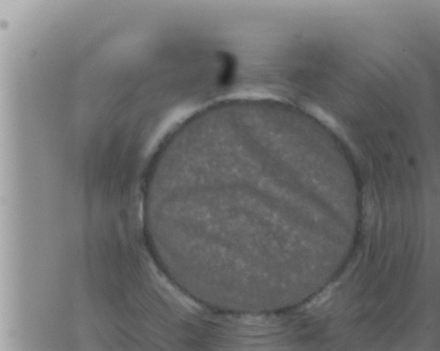 X0000062831408200601271939