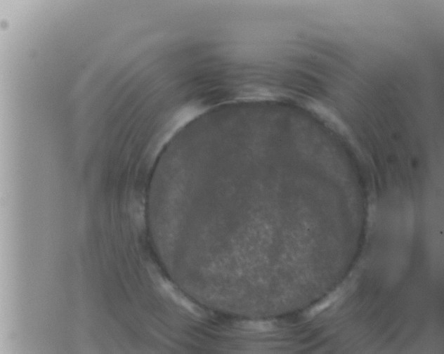 X0000062831409200601271939