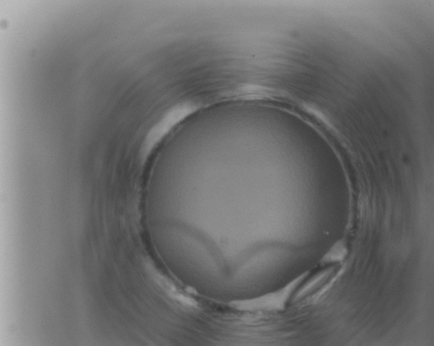 X0000062831410200601271939