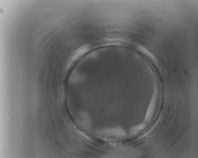 X0000062831411200601271939