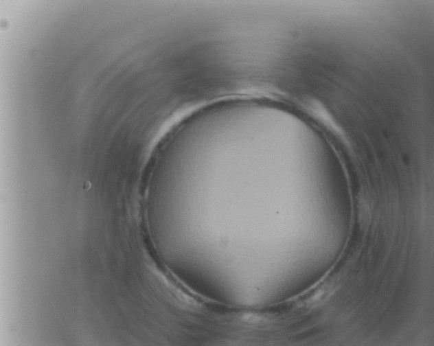 X0000062831412200601271939