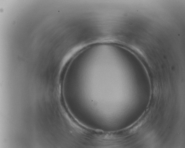 X0000062831414200601271939