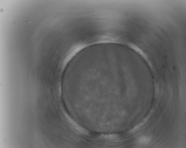 X0000062831415200601271939