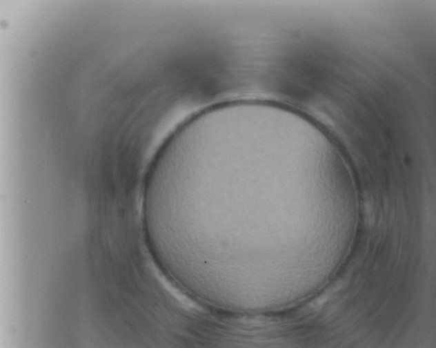 X0000062831416200601271939