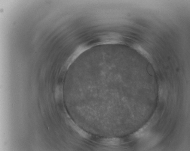 X0000062831417200601271940