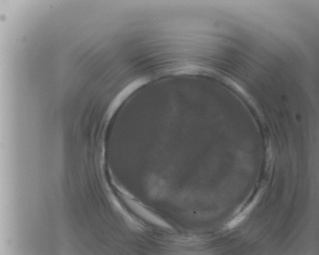 X0000062831418200601271940