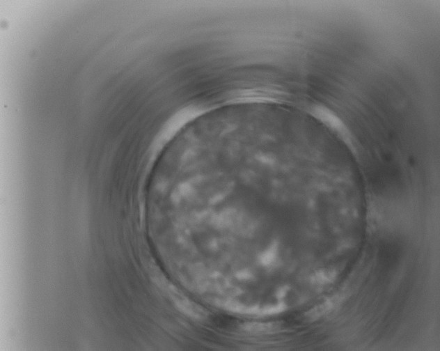 X0000062831419200601271940