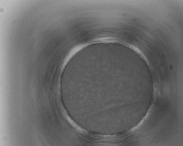 X0000062831421200601271940