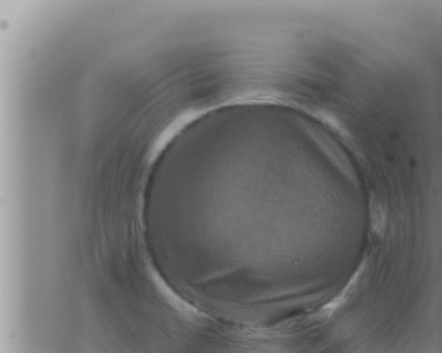 X0000062831422200601271940