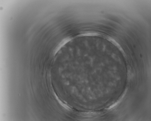 X0000062831425200601271940