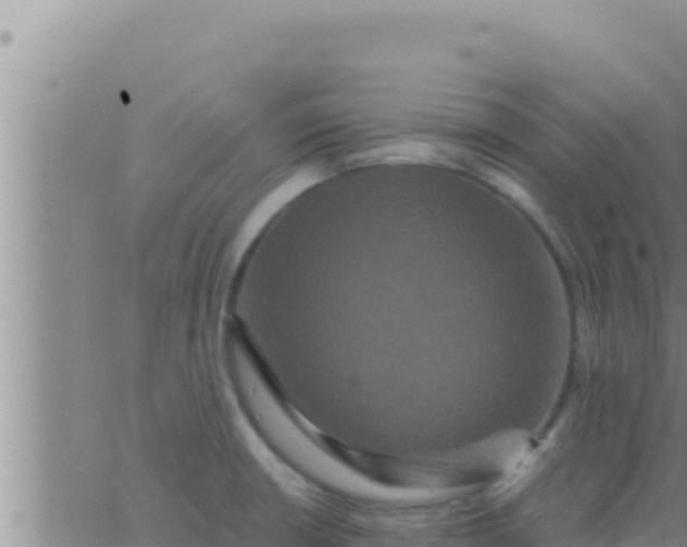 X0000062831426200601271940