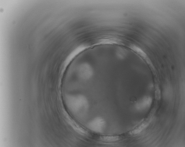 X0000062831427200601271940