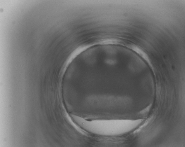 X0000062831429200601271940