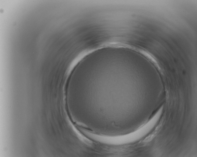 X0000062831430200601271940