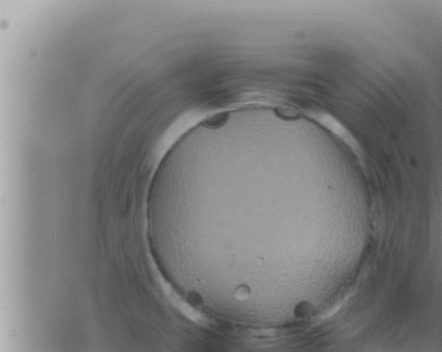 X0000062831431200601271940