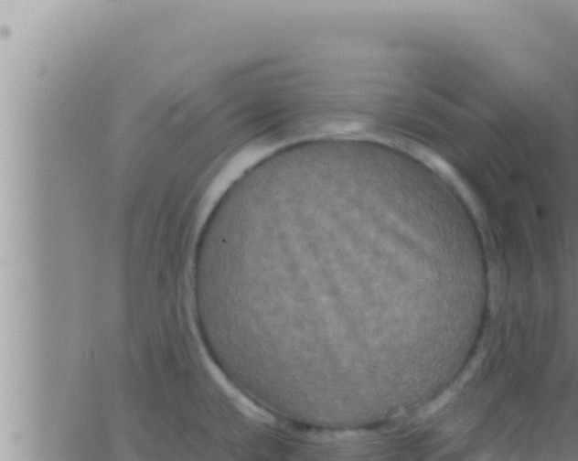 X0000062831432200601271940