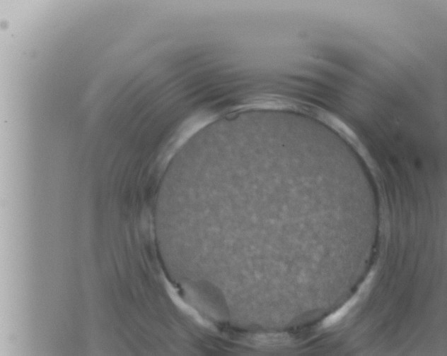 X0000062831433200601271940