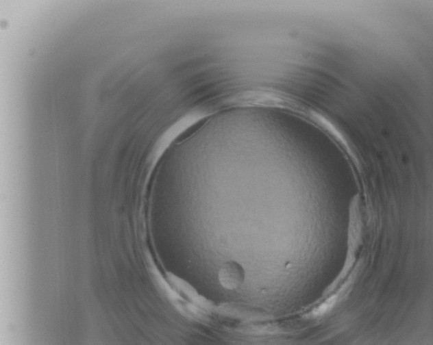 X0000062831434200601271940