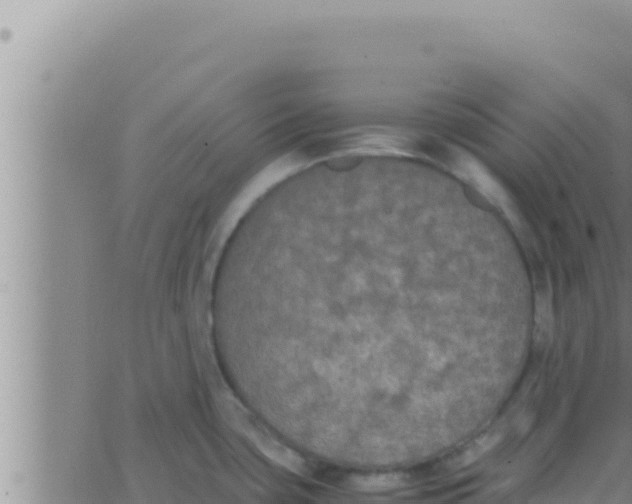 X0000062831435200601271940