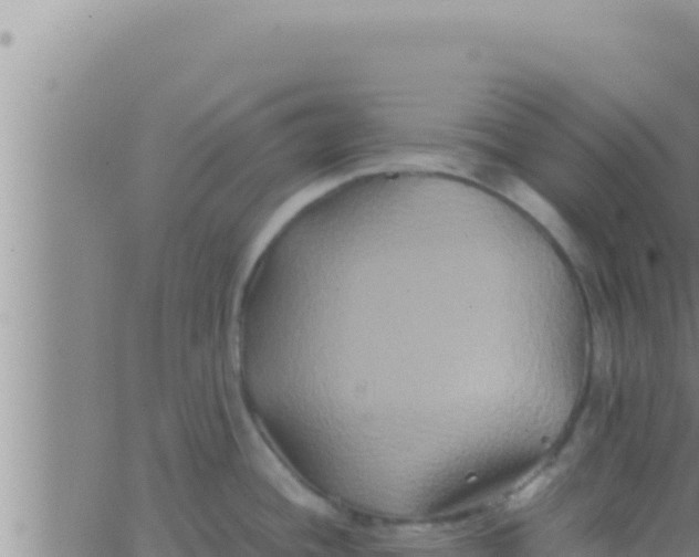 X0000062831436200601271940