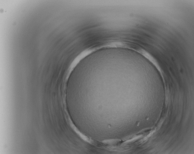 X0000062831437200601271940