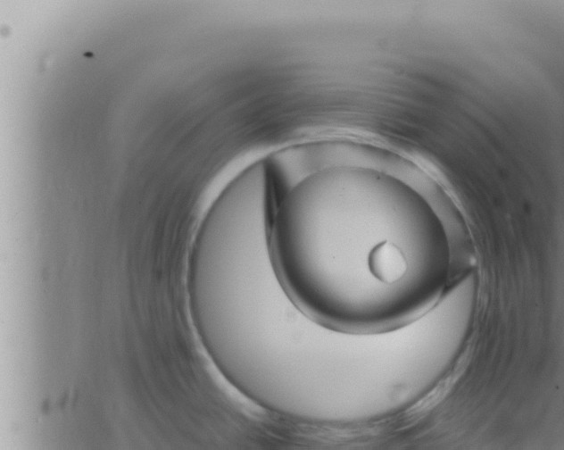 X0000062831438200601271940