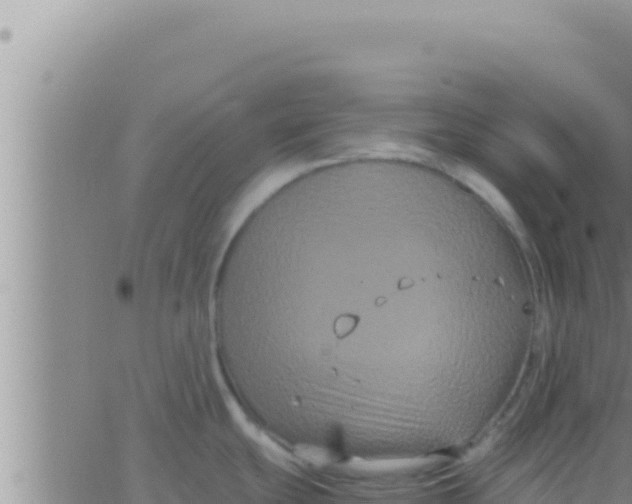 X0000062831439200601271940