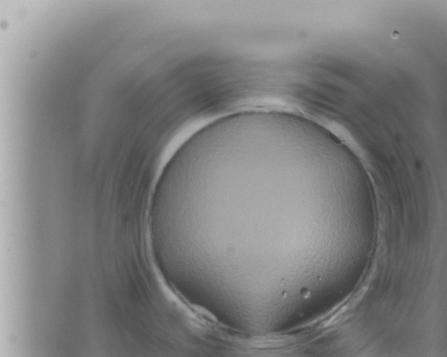 X0000062831440200601271940