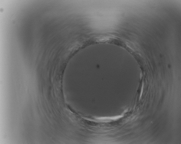 X0000062831441200601271939