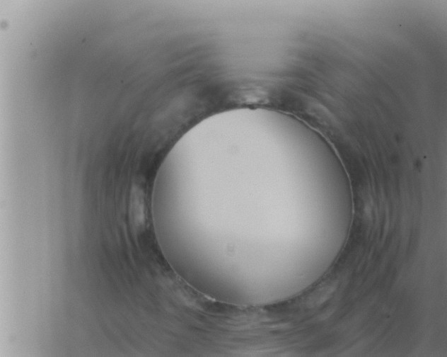 X0000062831442200601271939