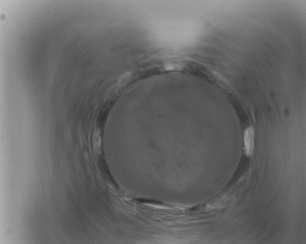 X0000062831443200601271939