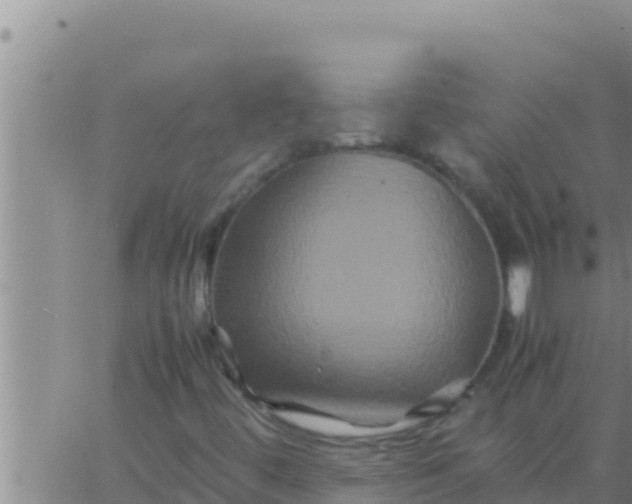 X0000062831444200601271939