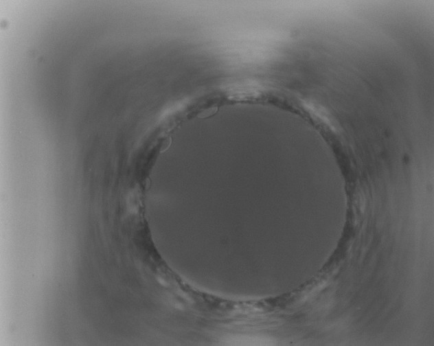 X0000062831445200601271939