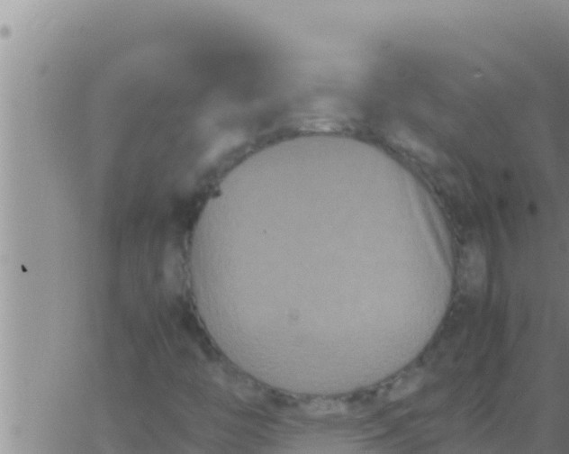 X0000062831446200601271939