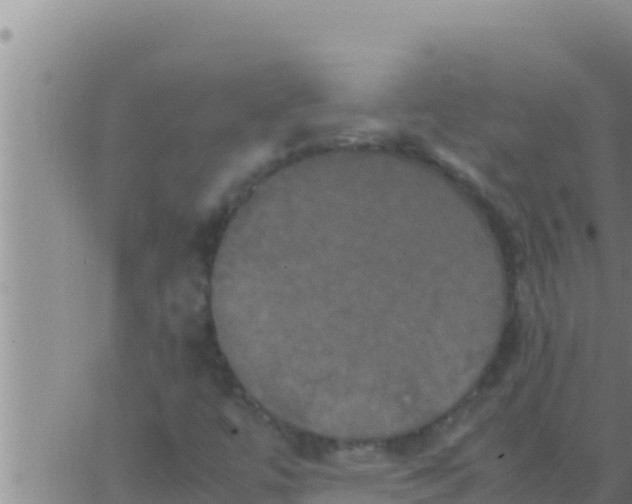 X0000062831447200601271939