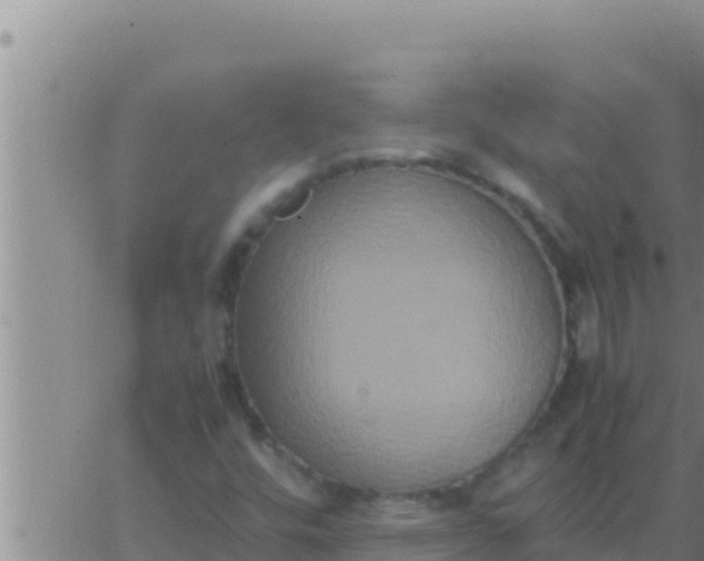 X0000062831448200601271939